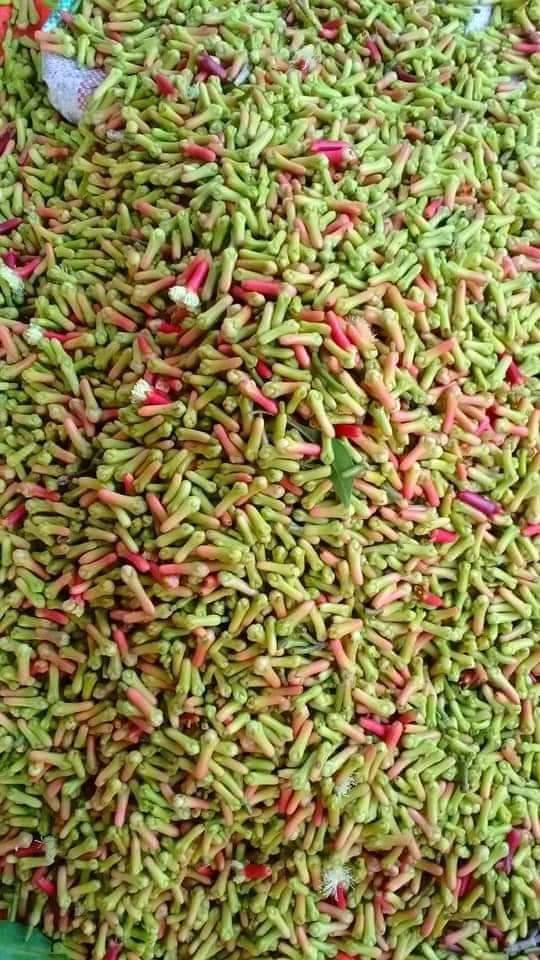 Tanzania Mainland Cloves