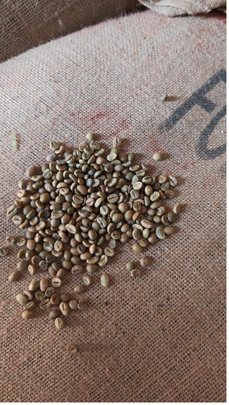 Green coffee beans