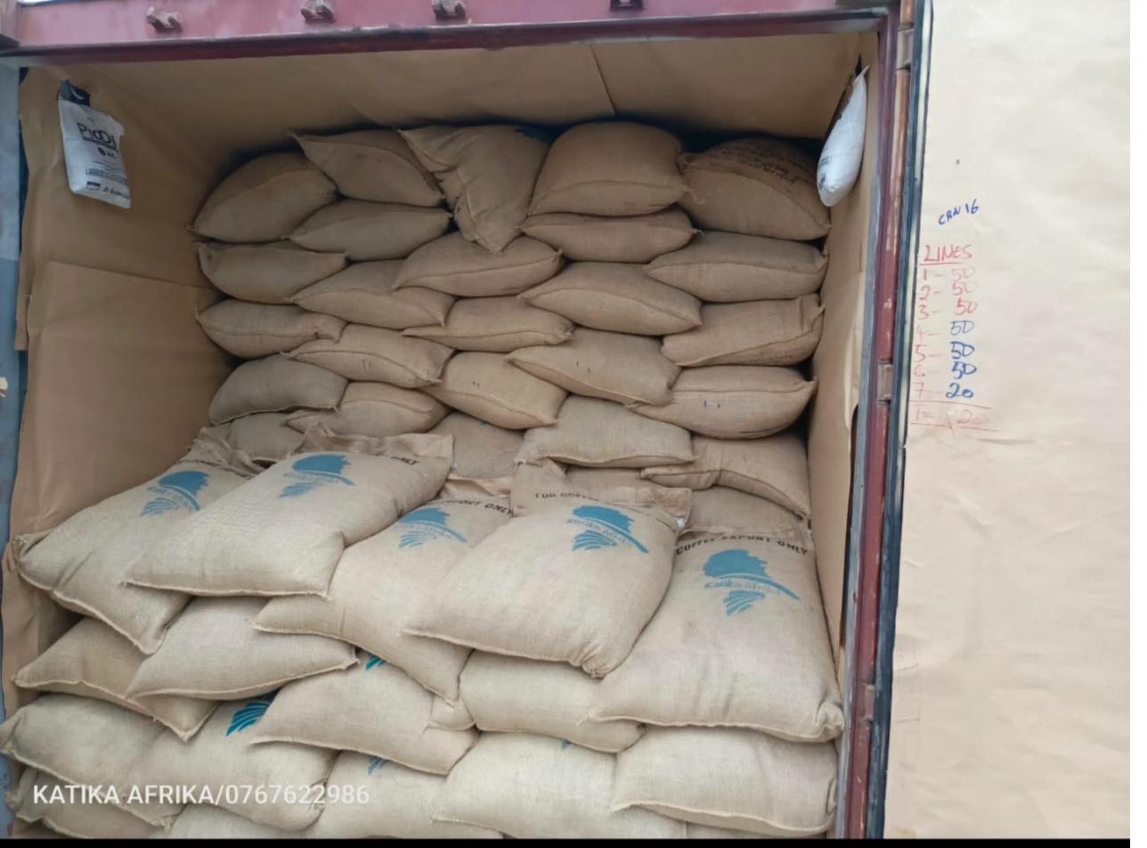 Packed for coffee export