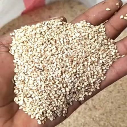 Sesame Seeds