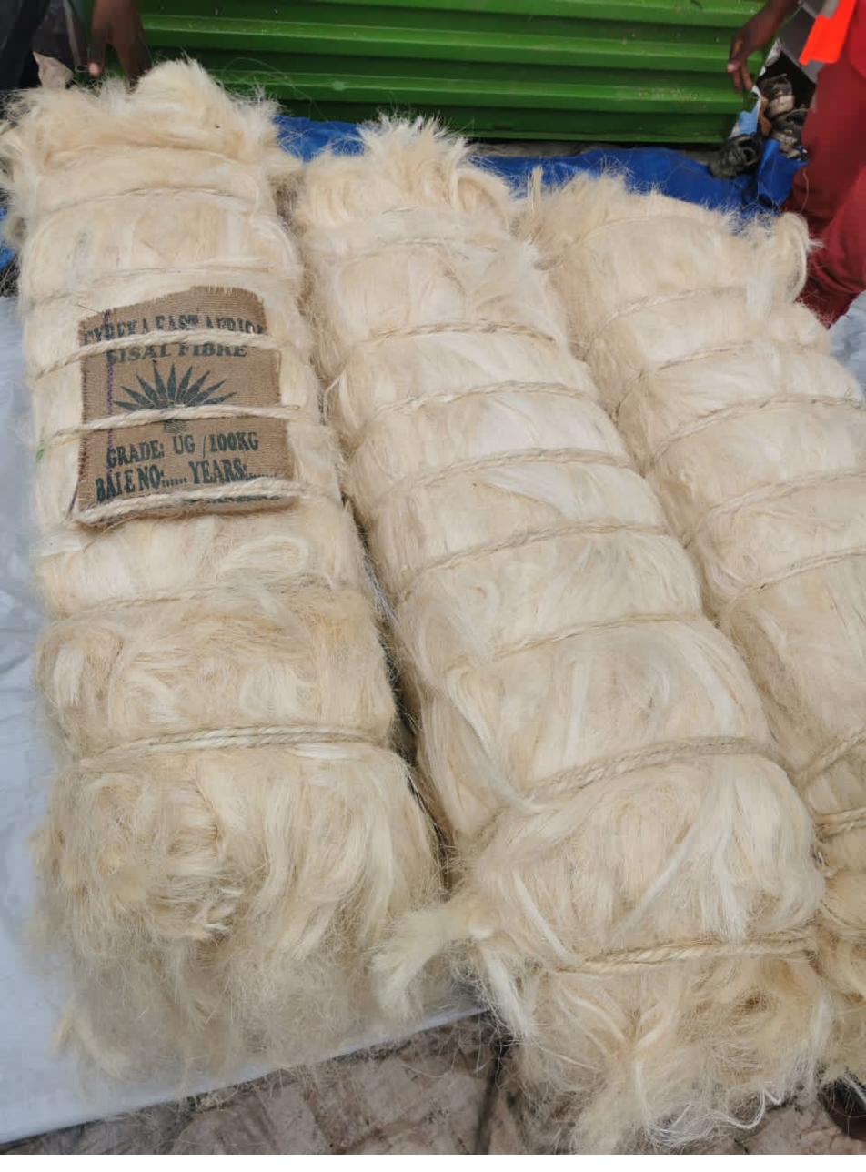 Sisal Fibers