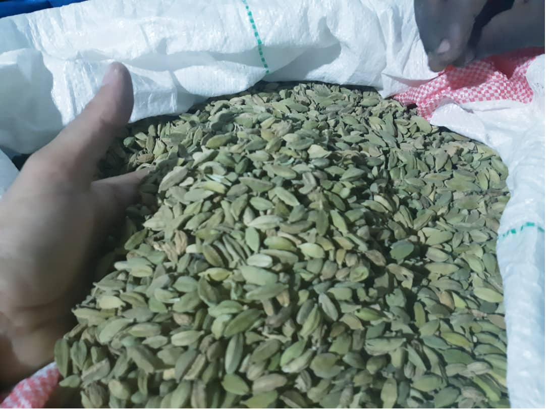 Green cardamom